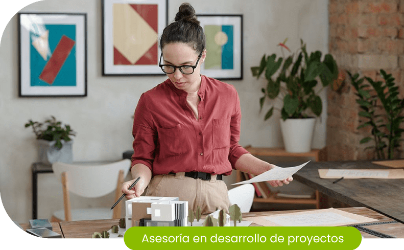 Asesoría en desarrollo de proyectos